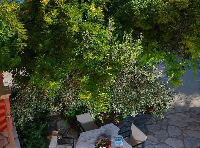 Vasso Sea View Residences דירה *